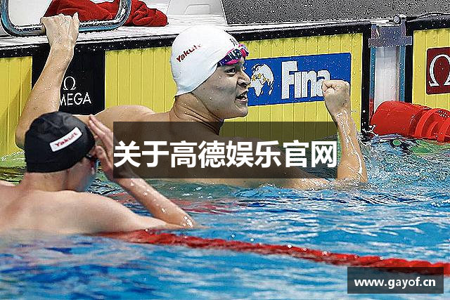 关于高德娱乐官网